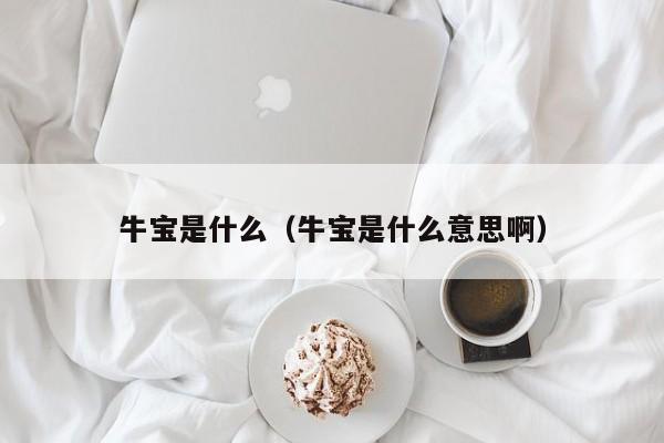 牛宝是什么（牛宝是什么意思啊）