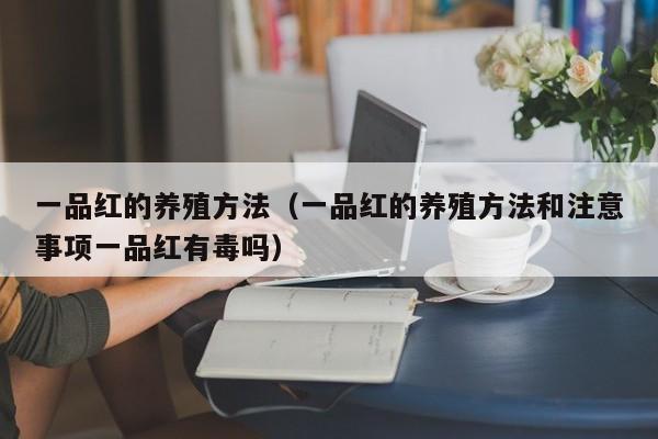 一品红的养殖方法（一品红的养殖方法和注意事项一品红有毒吗）