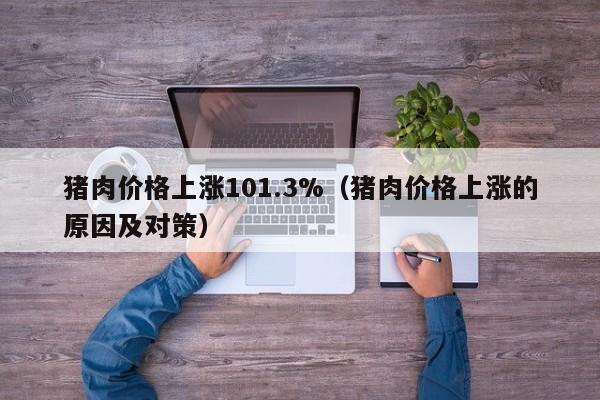 猪肉价格上涨101.3%（猪肉价格上涨的原因及对策）