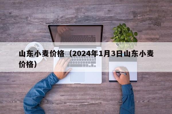 山东小麦价格（2024年1月3日山东小麦价格）