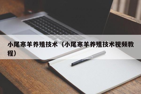 小尾寒羊养殖技术（小尾寒羊养殖技术视频教程）