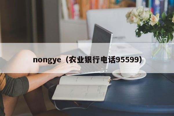 nongye（农业银行电话95599）