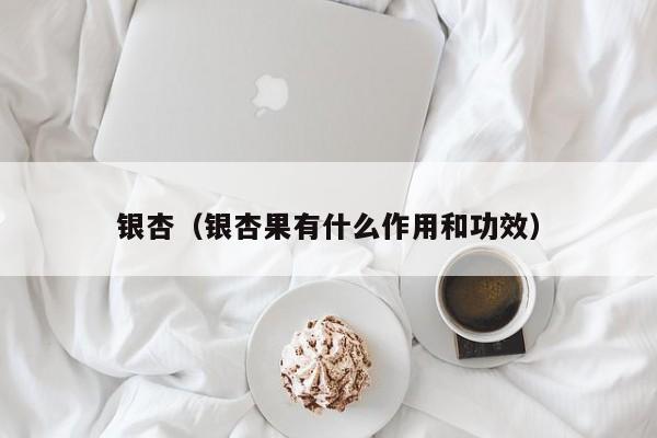 银杏（银杏果有什么作用和功效）