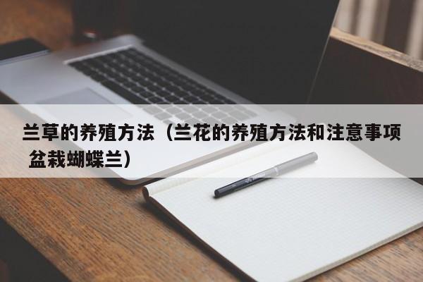 兰草的养殖方法（兰花的养殖方法和注意事项 盆栽蝴蝶兰）