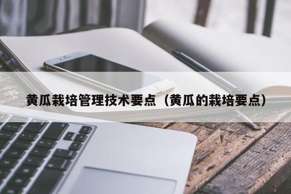 黄瓜栽培管理技术要点（黄瓜的栽培要点）