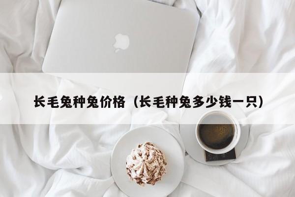 长毛兔种兔价格（长毛种兔多少钱一只）