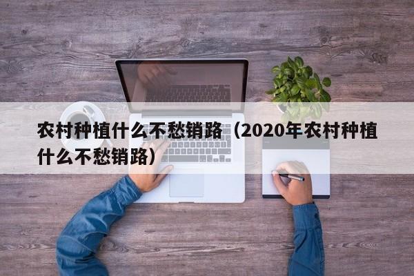 农村种植什么不愁销路（2020年农村种植什么不愁销路）