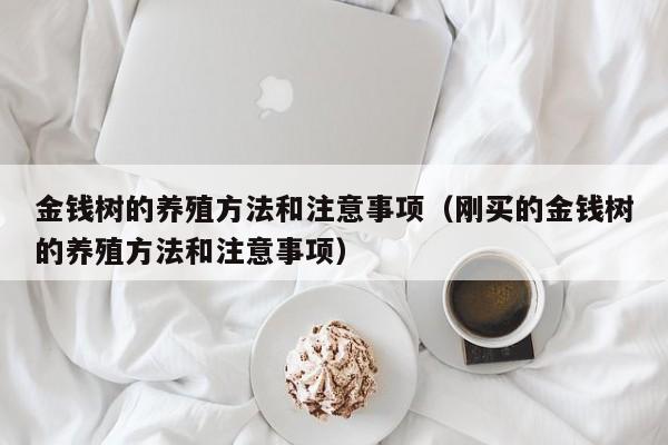 金钱树的养殖方法和注意事项（刚买的金钱树的养殖方法和注意事项）