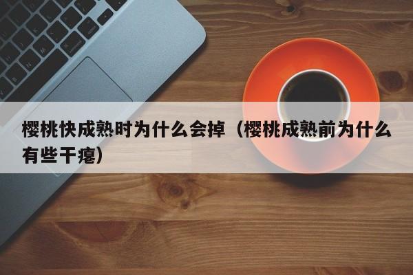 樱桃快成熟时为什么会掉（樱桃成熟前为什么有些干瘪）