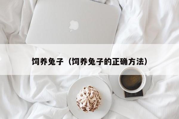 饲养兔子（饲养兔子的正确方法）