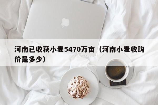 河南已收获小麦5470万亩（河南小麦收购价是多少）