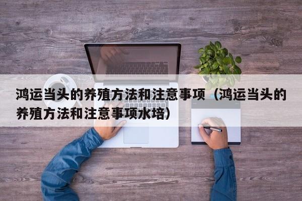 鸿运当头的养殖方法和注意事项（鸿运当头的养殖方法和注意事项水培）