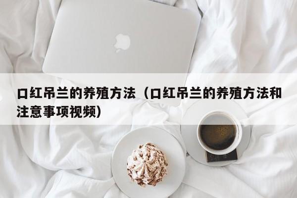 口红吊兰的养殖方法（口红吊兰的养殖方法和注意事项视频）