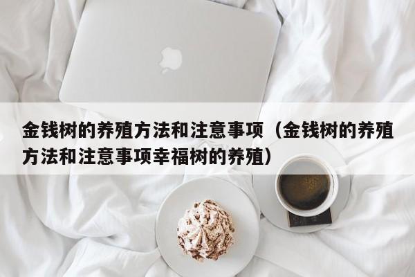 金钱树的养殖方法和注意事项（金钱树的养殖方法和注意事项幸福树的养殖）