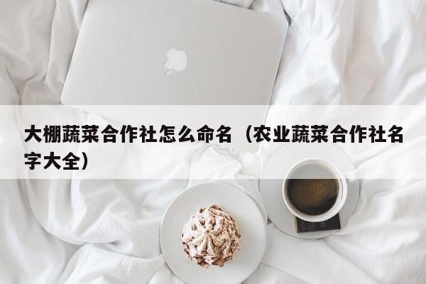 大棚蔬菜合作社怎么命名（农业蔬菜合作社名字大全）